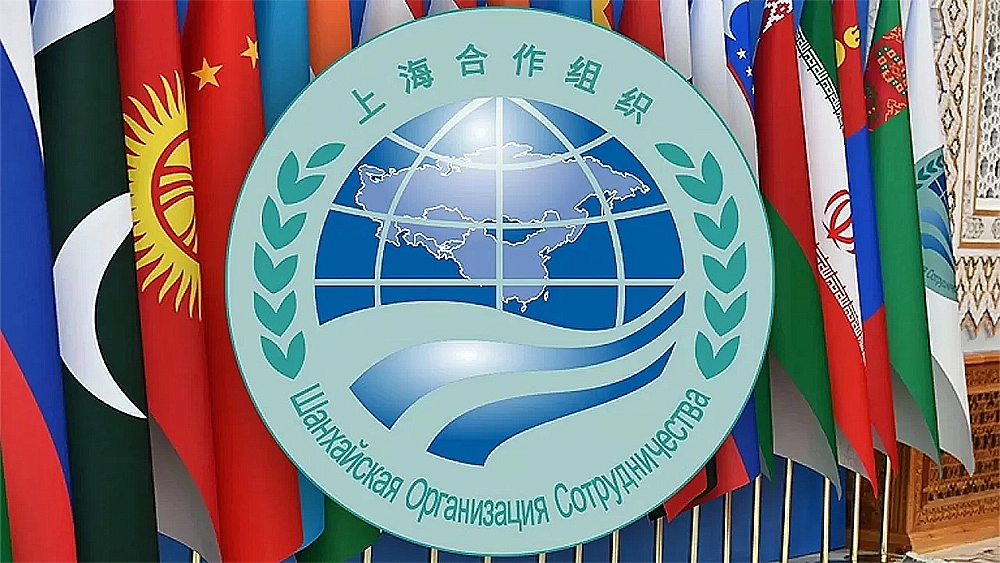 Integration processes within the SCO in the new economic space