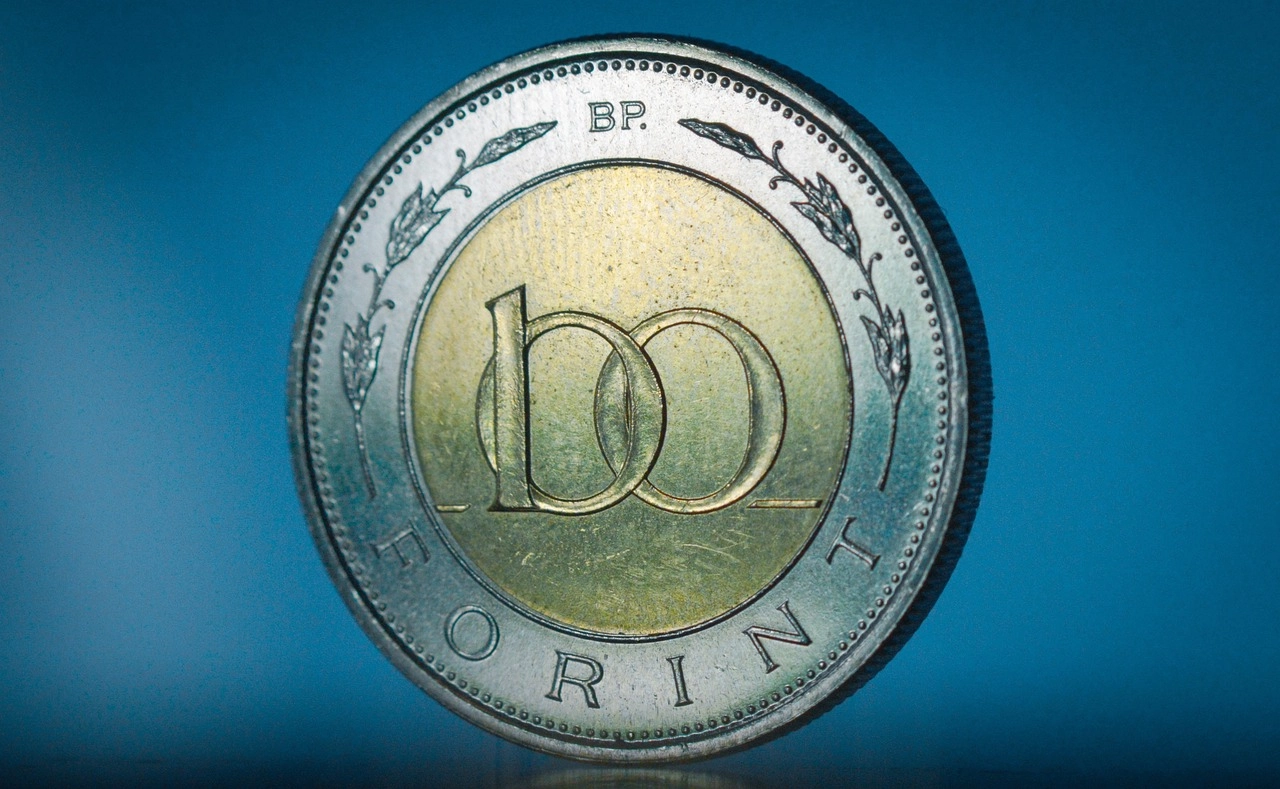 Куда инвестировать в Венгрии