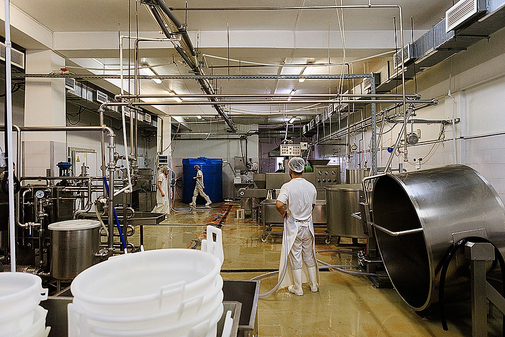 Cheese production in Moscow, Russia