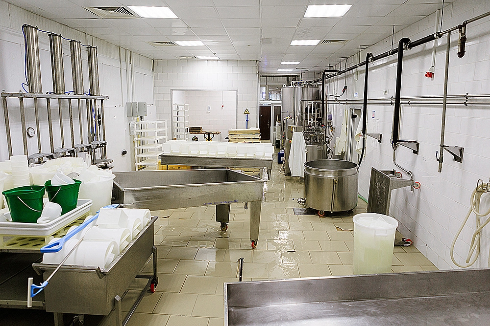 Cheese production in Moscow, Russia