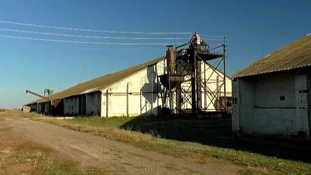 Grain receiving facility (elevator) in the Volgograd region, Russia