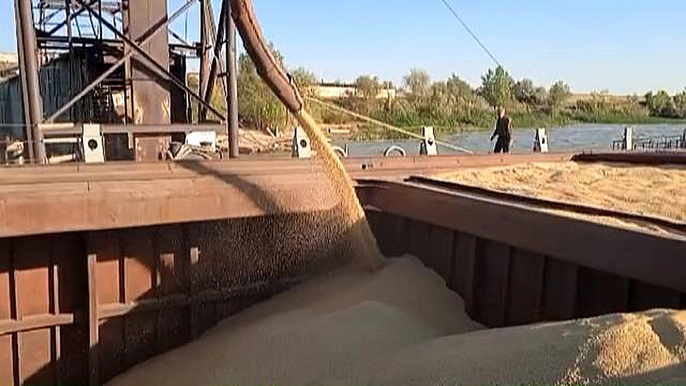 Grain receiving facility (elevator) in the Volgograd region, Russia