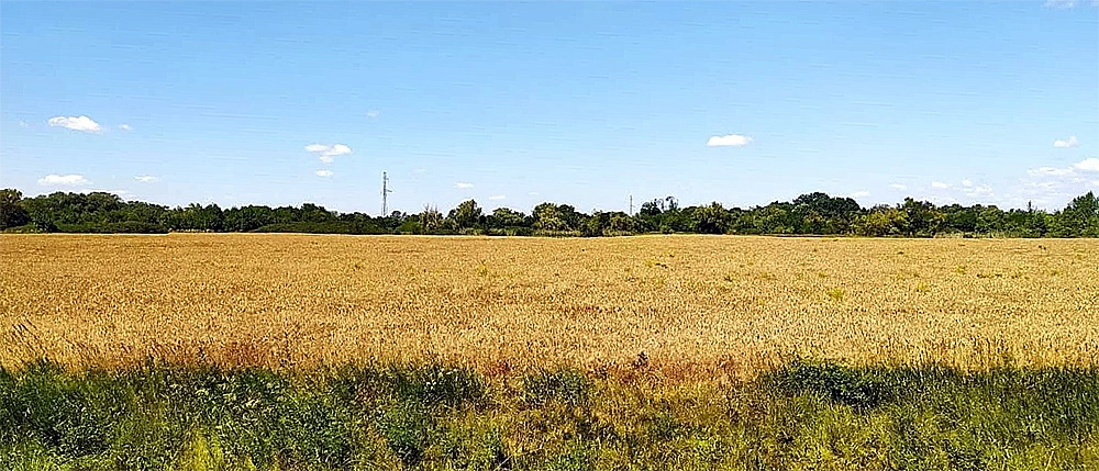 Livestock complex in Rostov region, Russia