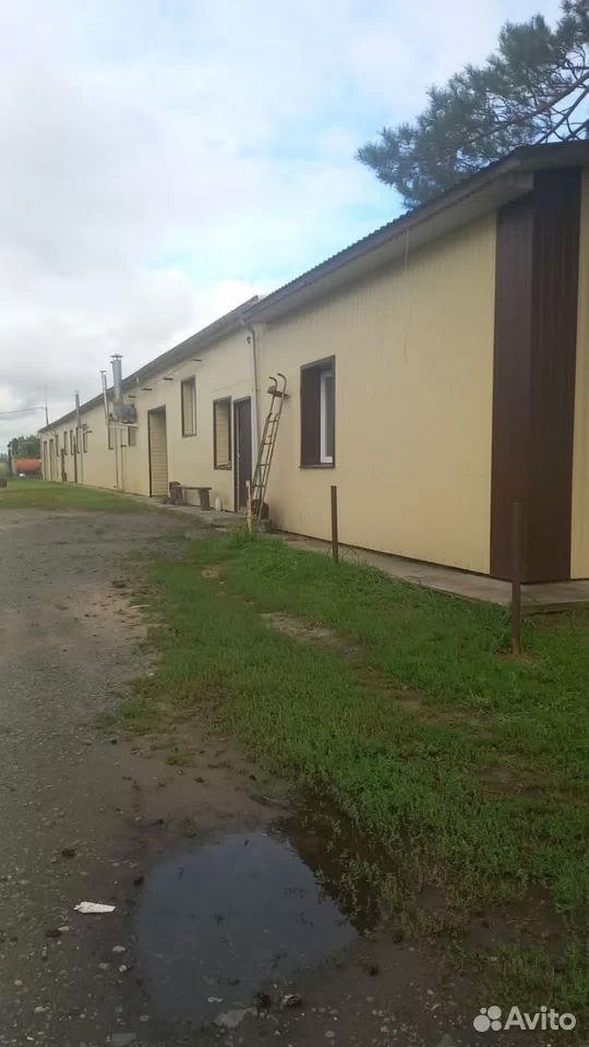 Agricultural enterprise in Altai region, Russia