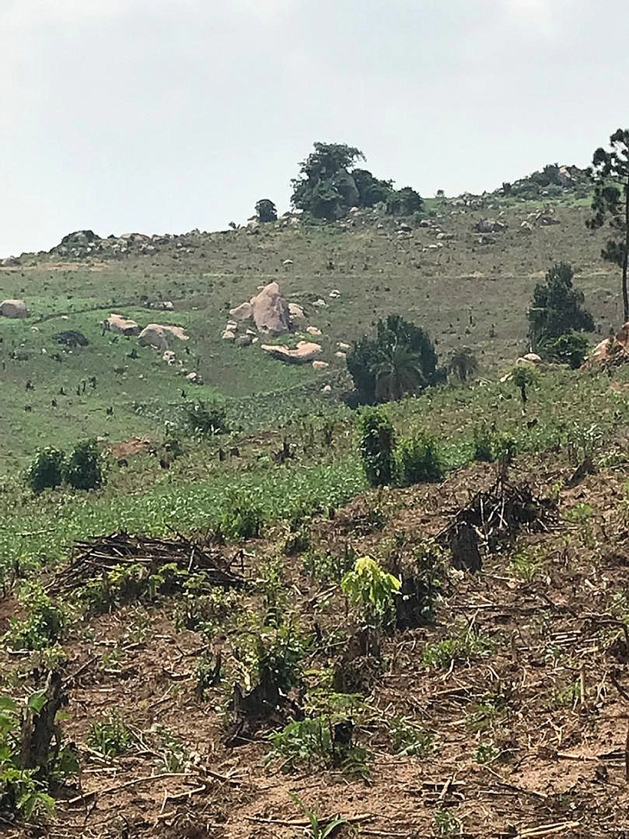 Altın madeni, Uganda'da