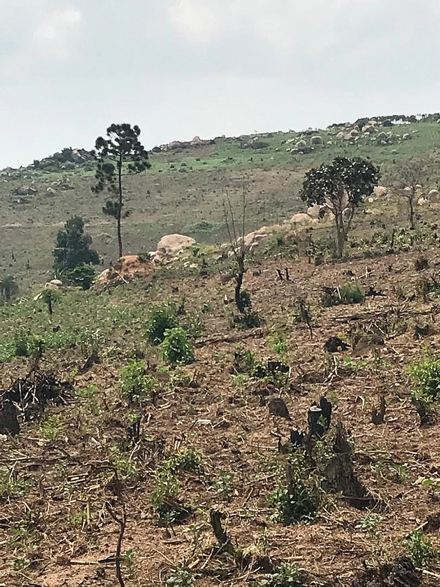 Altın madeni, Uganda'da