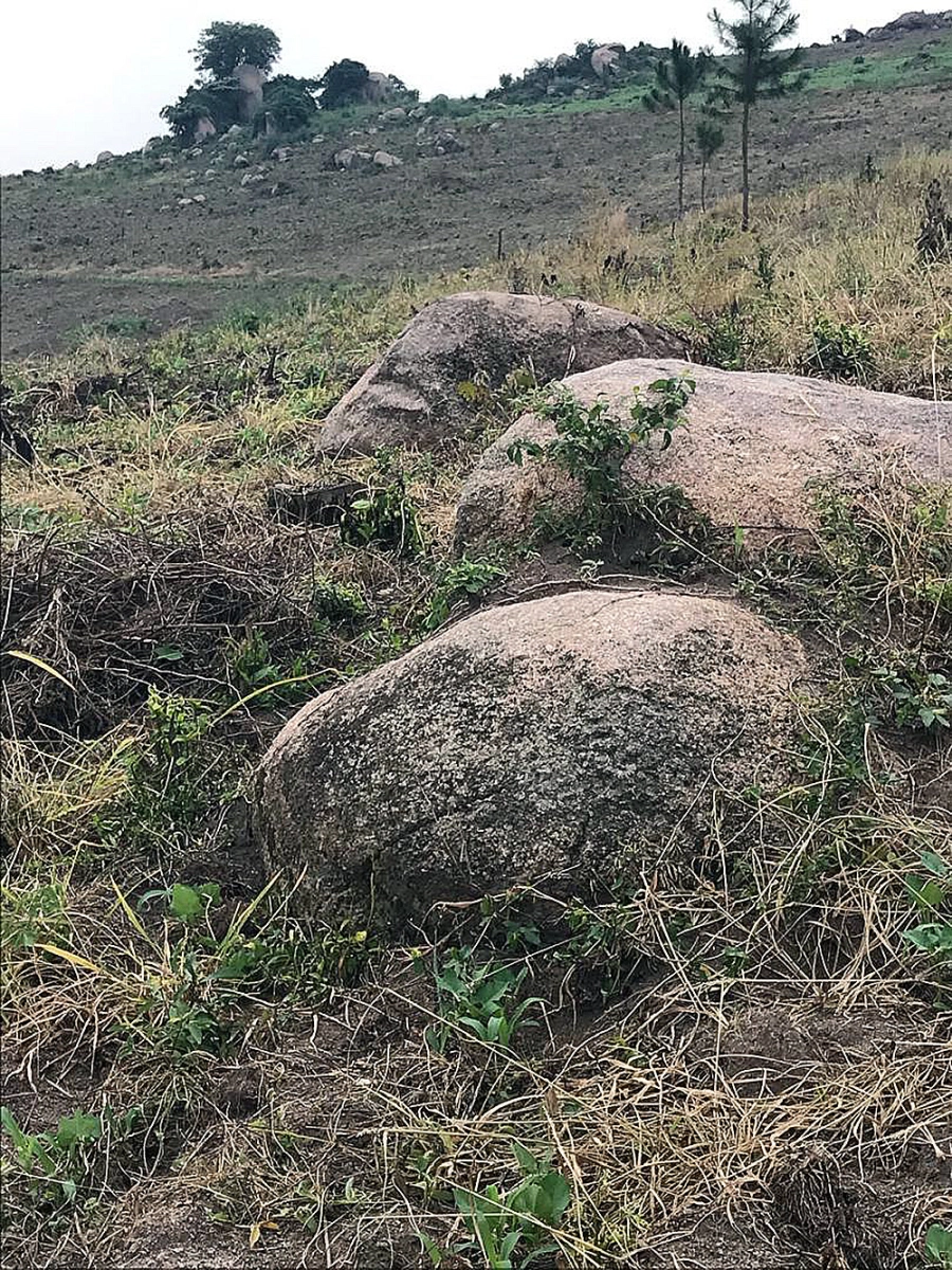 Altın madeni, Uganda'da