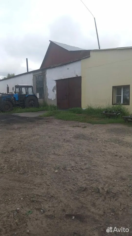 Agricultural enterprise in Altai region, Russia