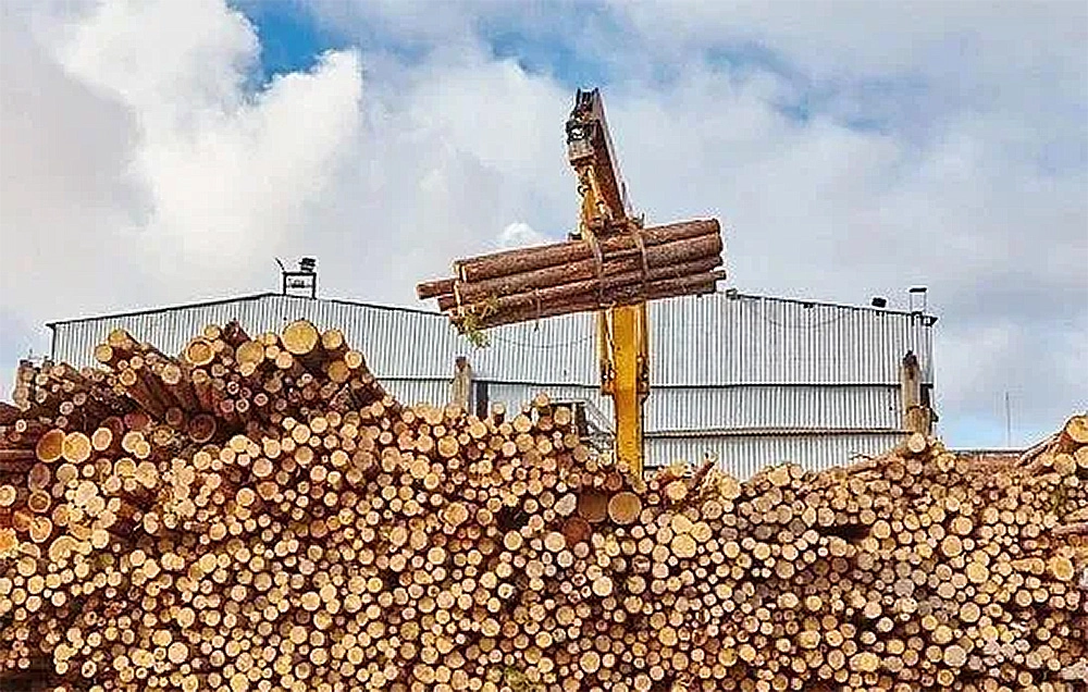 Деревообрабатывающий комбинат в Иркутской области, Россия