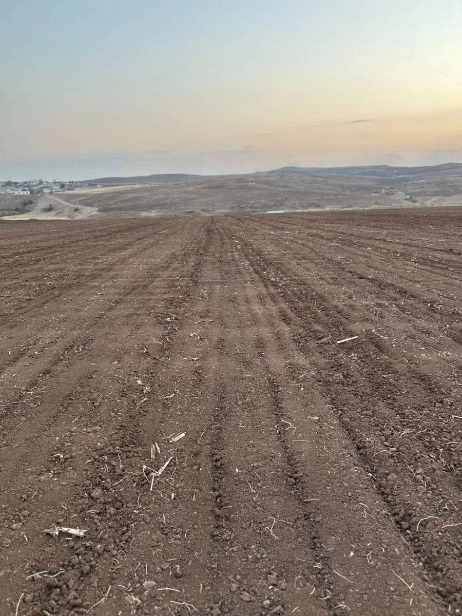 Large agricultural land plot in southeastern Turkiye