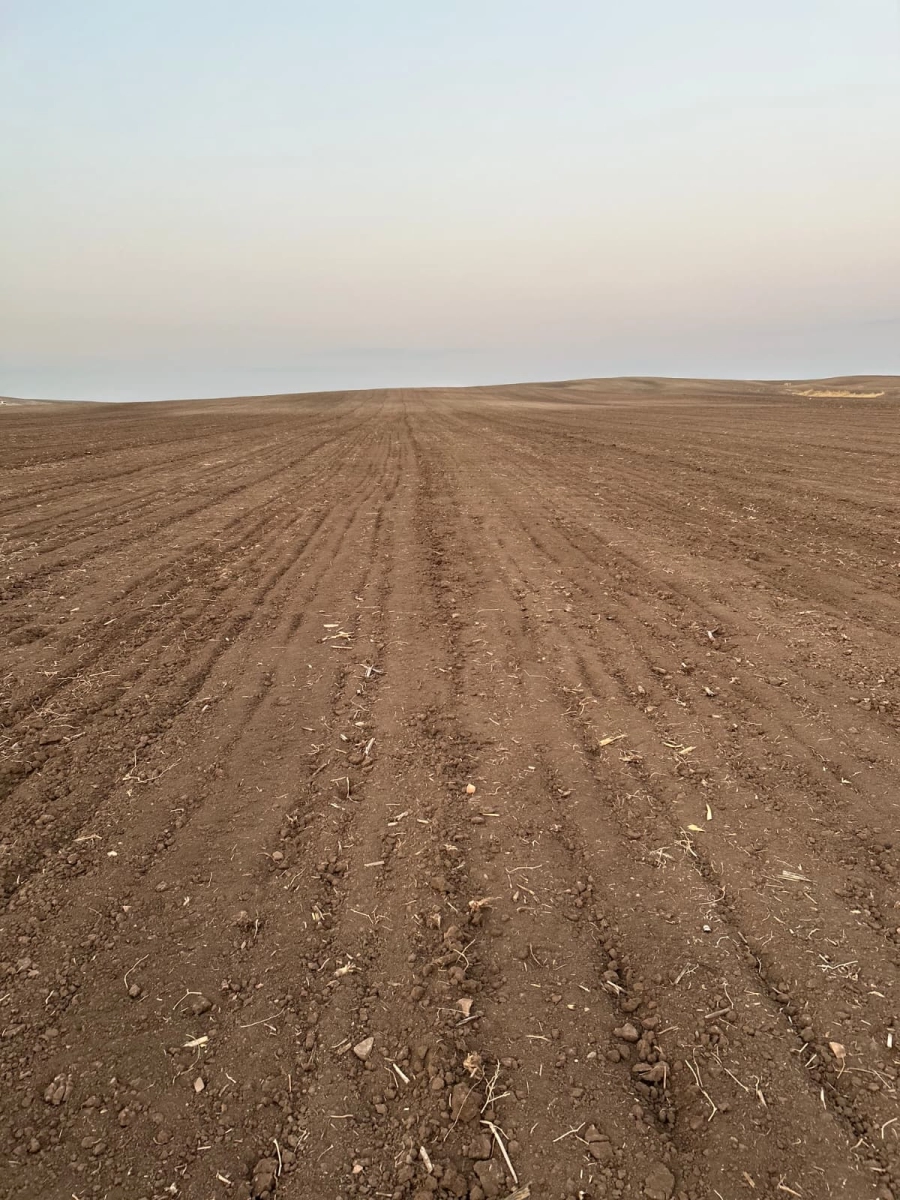 Large agricultural land plot in southeastern Turkiye