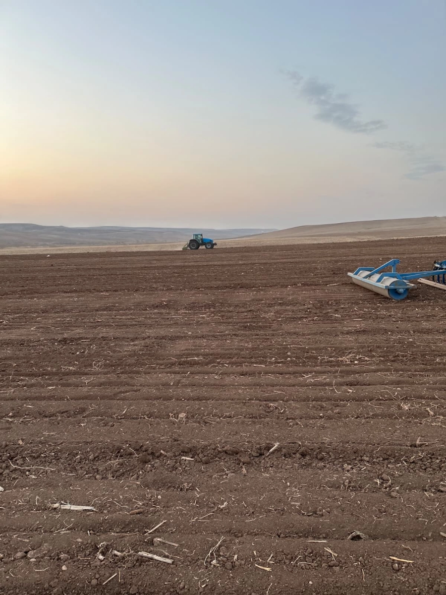 Large agricultural land plot in southeastern Turkiye