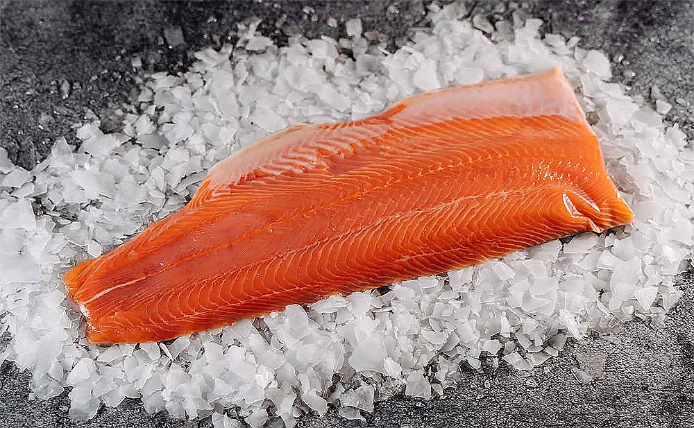 Рыбные заводы на северо-западе России