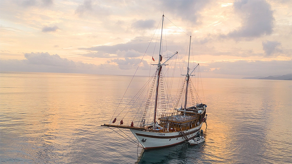 Элитный круизный морской туристический бизнес на крупной яхте в Индонезии