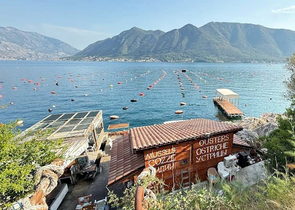 Oyster Restaurant and Farm in Montenegro