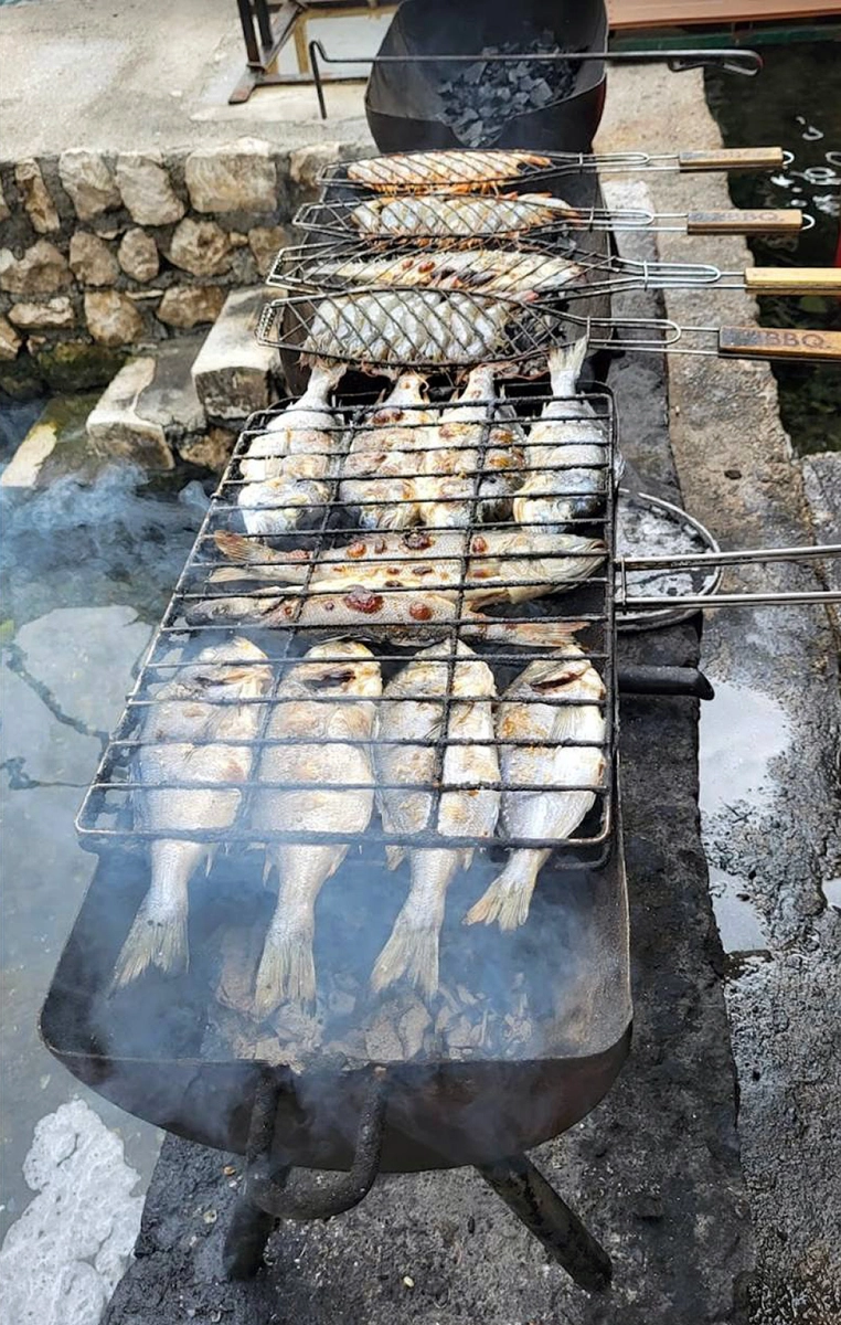 Oyster Restaurant and Farm in Montenegro