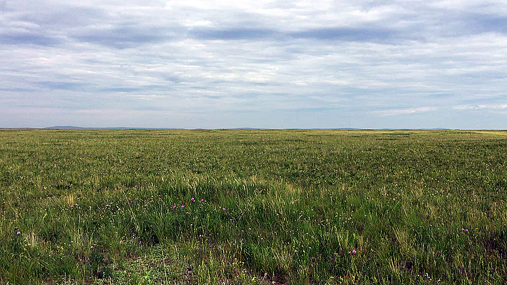 Agricultural land plots in the Trans-Baikal region, Russia