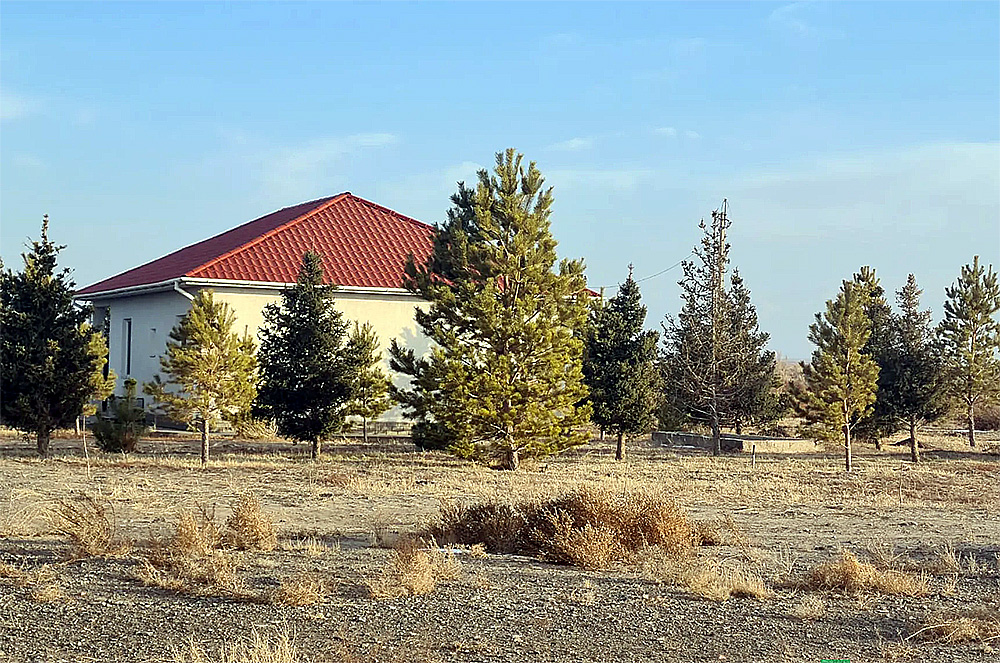 Livestock agribusiness in Almaty region, Kazakhstan