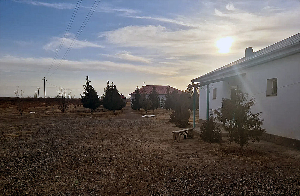 Hayvancılık tarımı, Almatı bölgesinde, Kazakistan