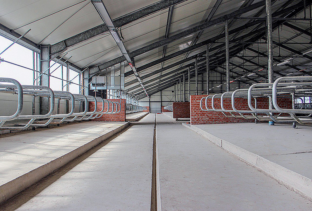 Dairy farm in Novgorod region, Russia