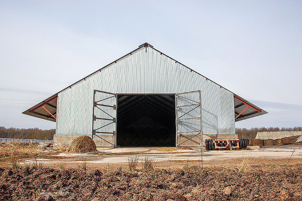 Dairy farm in Novgorod region, Russia