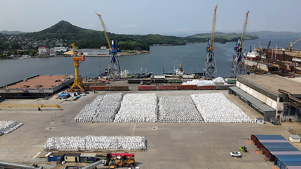 International cargo port (terminal) and ship repair plant in Primorsky Krai, Russia