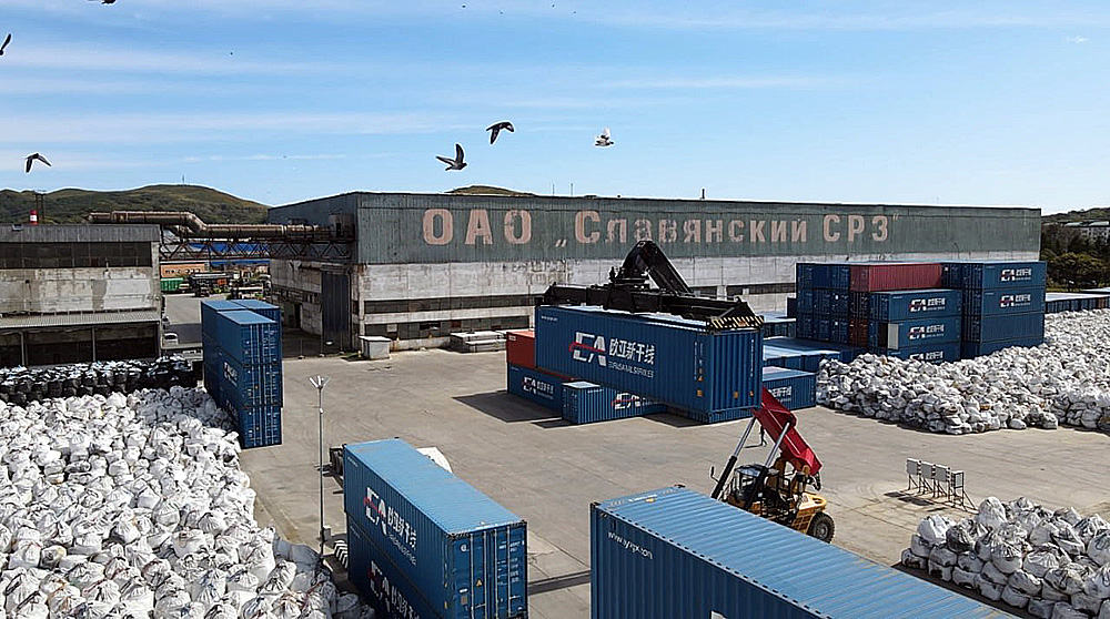 International cargo port (terminal) and ship repair plant in Primorsky Krai, Russia