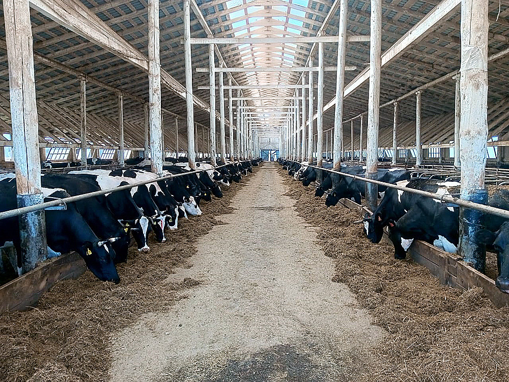 Agricultural enterprise in Bashkortostan, Russia