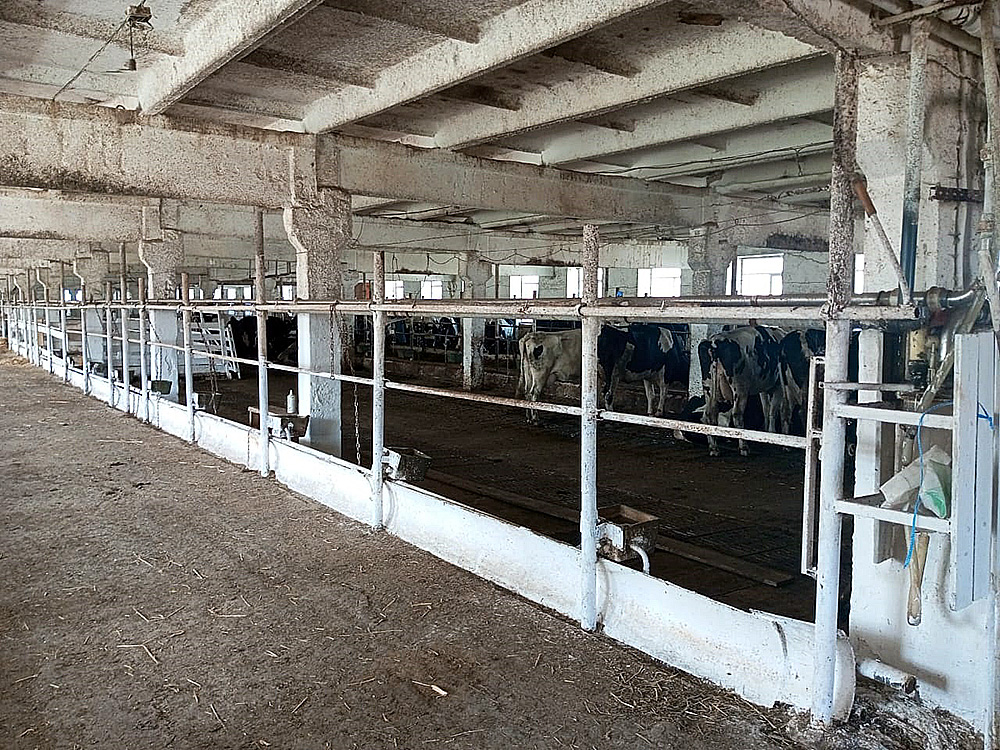 Agricultural enterprise in Bashkortostan, Russia