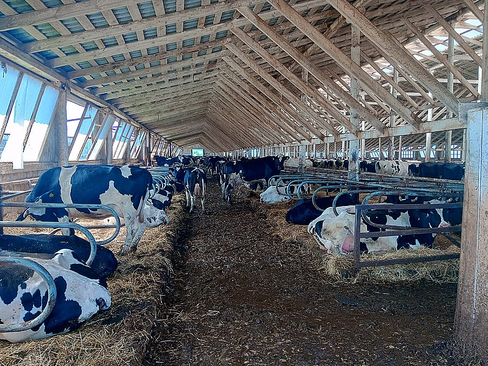 Agricultural enterprise in Bashkortostan, Russia