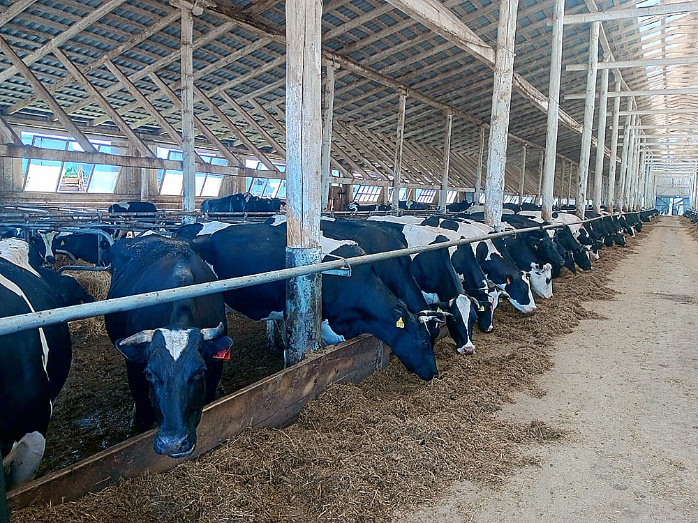 Agricultural enterprise in Bashkortostan, Russia