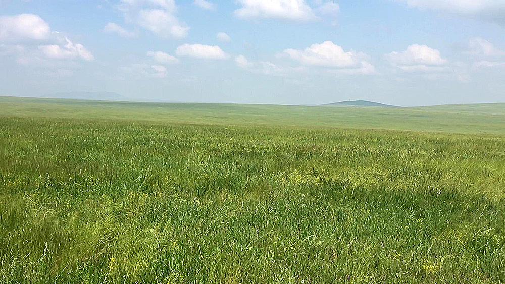 Tarım arazileri, Trans-Baykal Bölgesi'nde, Rusya