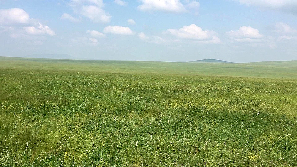 Земельные участки сельскохозяйственного назначения в Забайкальском крае, Россия