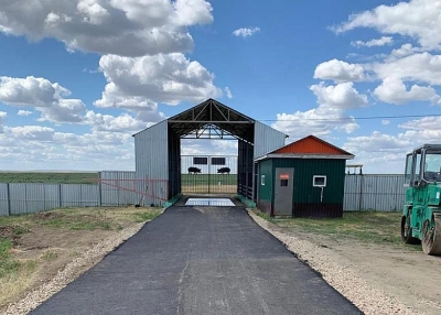 Mahsul tarlalarıyla domuz yetiştirme kompleksi, Kostanay bölgesinde, Kazakistan