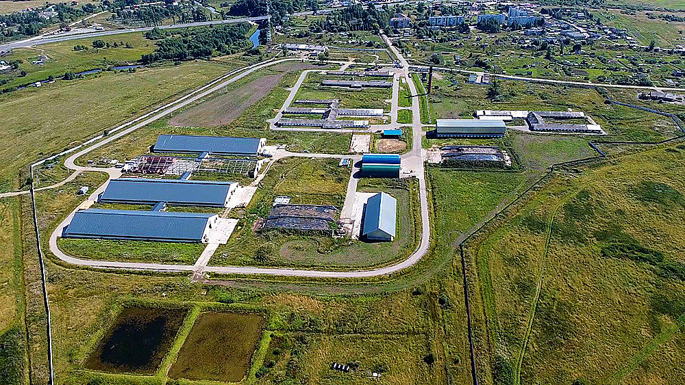 Dairy farm in Novgorod region, Russia