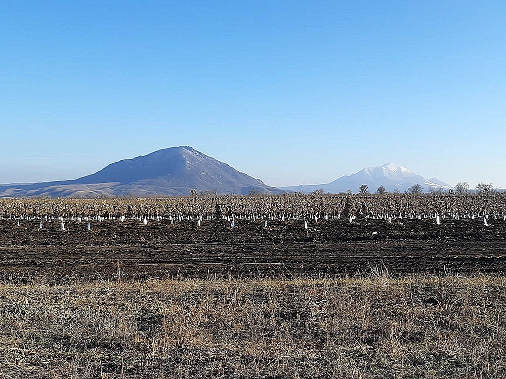 Садовое сельхозпредприятие в Ставропольском крае, Россия