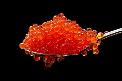 Рыбные заводы на северо-западе России