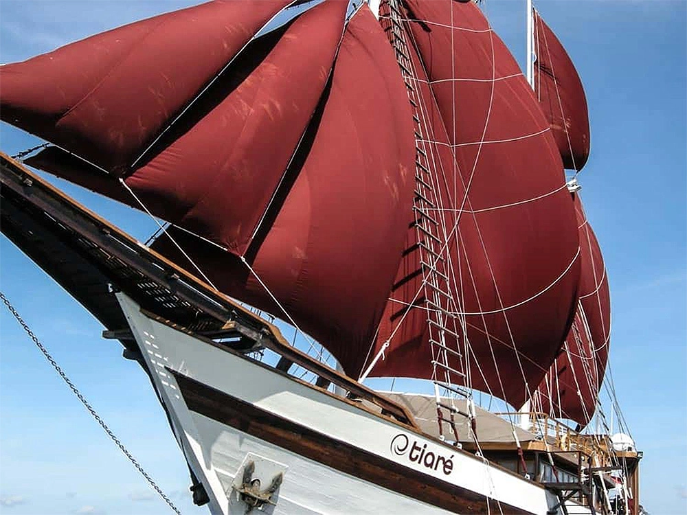 Элитный круизный морской туристический бизнес на крупной яхте в Индонезии