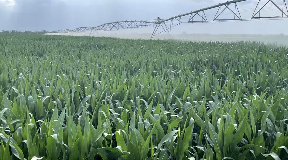 Agricultural enterprise in North Ossetia, Russia