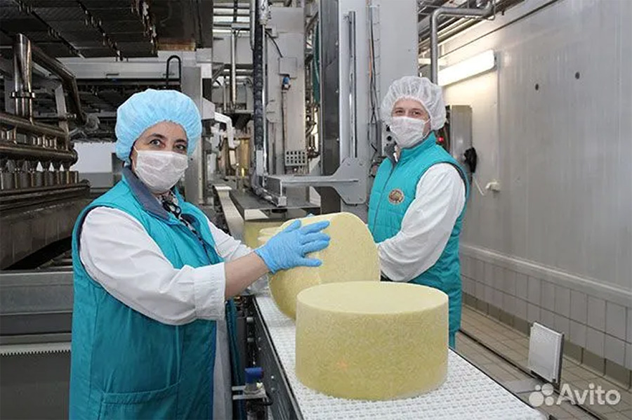 Cheese factory in the Central Federal District, Russia