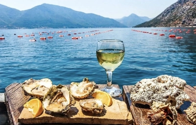 Oyster Restaurant and Farm in Montenegro